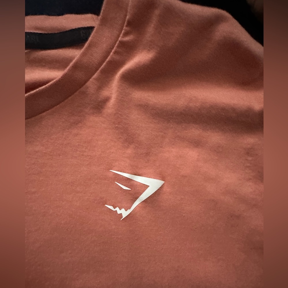 Gym shark 🦈 tee
